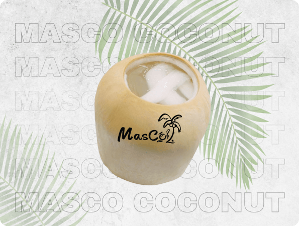 Coconut Jelly 001 - Masco Coconut