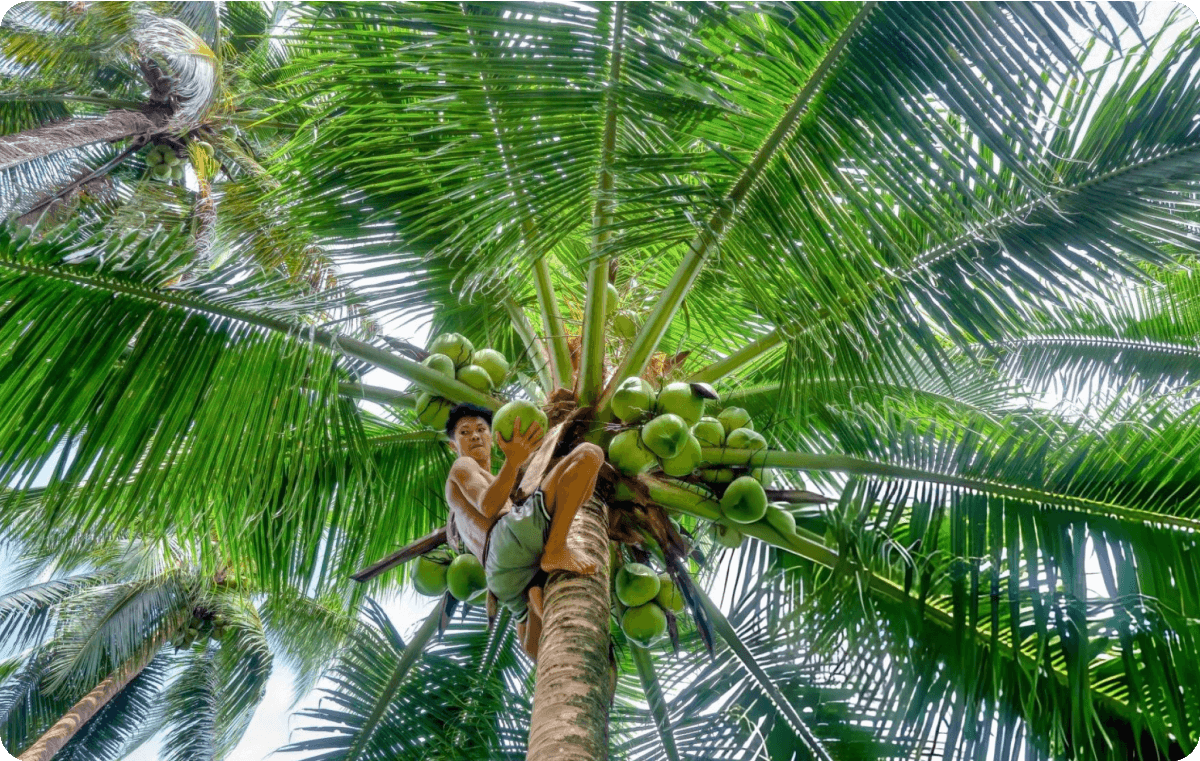 Frame 1321316147 (1)