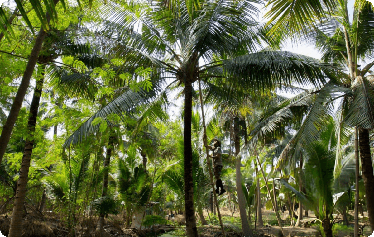 Frame 1321316148 (1)