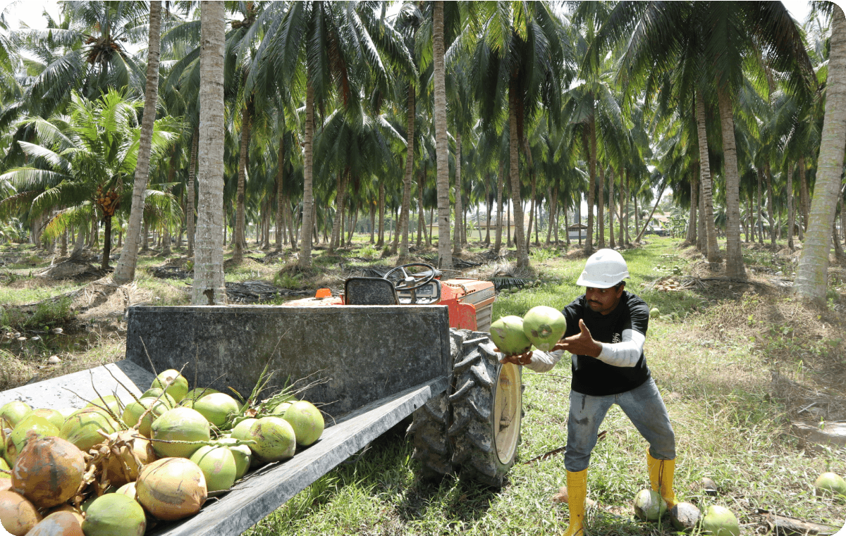 Frame 1321316149 (1)